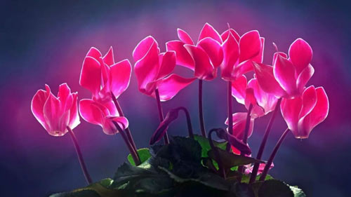 能源动力考研方向