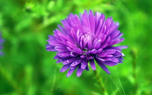 考研复习看书方法