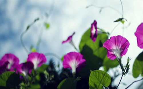 师范数学考研方向