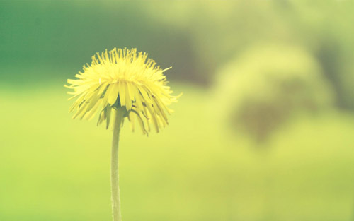 俄语本科就业考研