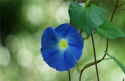 怎么准备考研复试