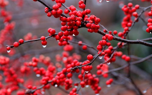 化学师范类考研方向