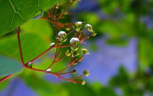 本科材料考研方向