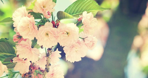 心理学本科考研方向