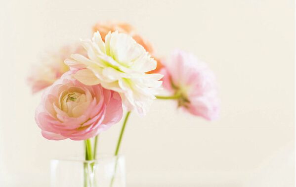 本科学农学考研方向