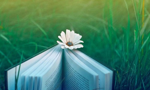 如何准备考研复试