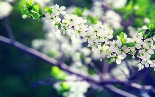 如何提高考研英语