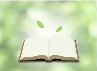 考研阅读怎么提高