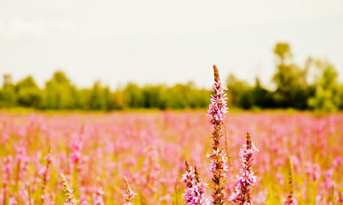 本科学物理的考研方向