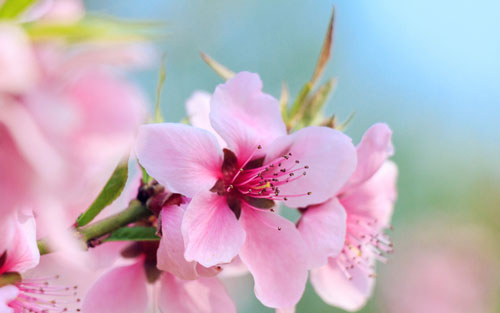 过程装备与控制工程专业考研方向