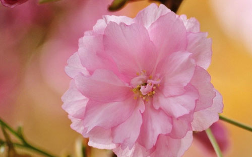 本科金融学考研方向