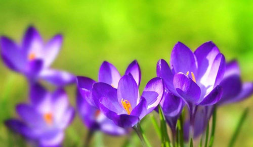 四年制医学检验技术本科考研方向