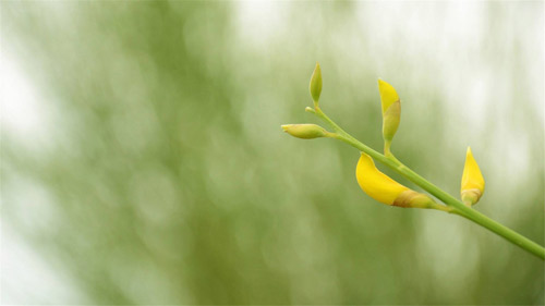 本科工商管理考研方向