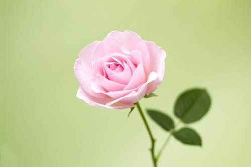 研究生考试英语时间安排