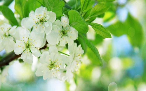 考研如何提高听力