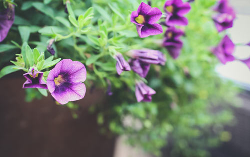 考研阅读理解如何提高