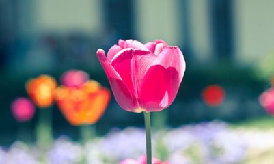 师范类化学考研方向