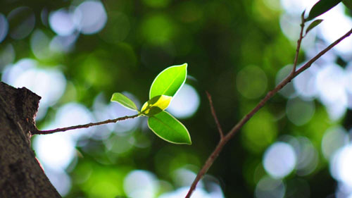 数学师范类考研方向