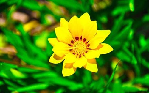 如何准备考研复试英语呢