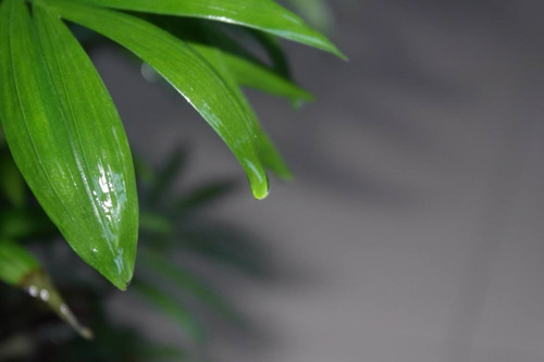 临床医学专科考研方向