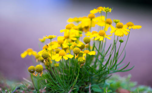 本科医药考研的方向