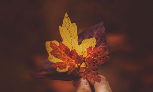 英语专业就业前景