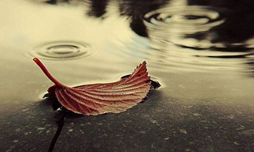 如何备考考研英语