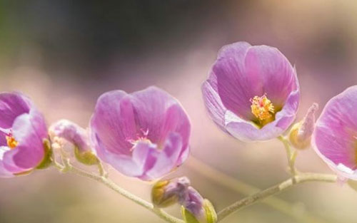 如何很好的记住考研单词