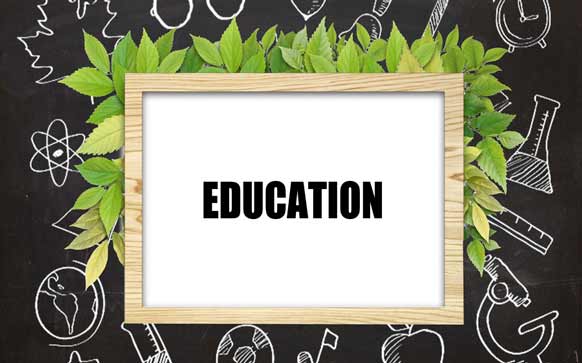 快速提高考研英语能力