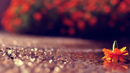 考研英语提高方法