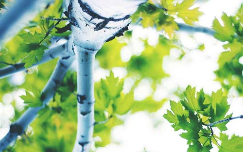 本科国贸专业考研方向