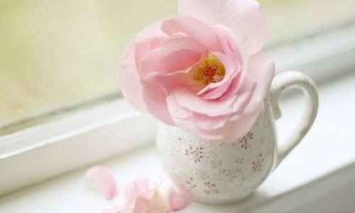 如何准备考研复试呢