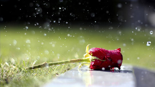 本科环境科学考研方向