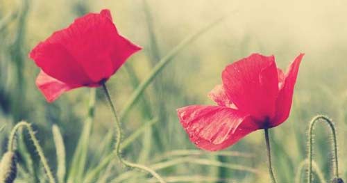 在职研究生考试报名时间