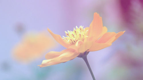 研究生入学资格考试