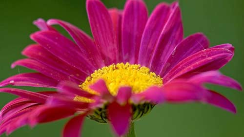 研究生入学资格考试