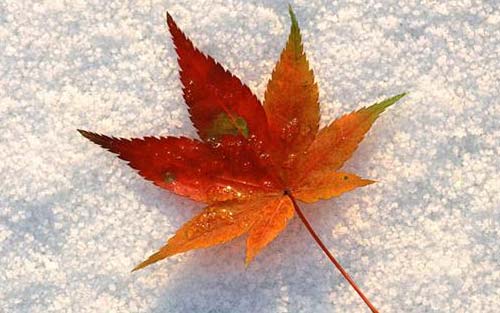 如何提高考研数学成绩