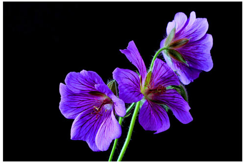 工商管理本科考研方向