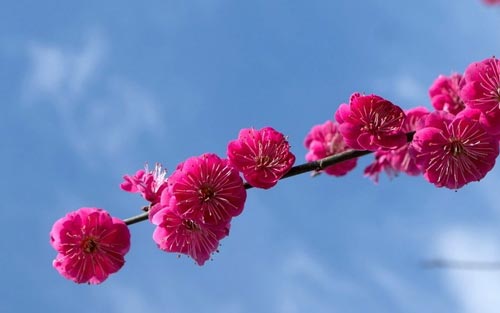 生物本科生考研方向