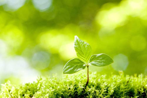 法学本科考研方向