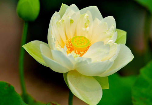 医学检验技术本科考研方向