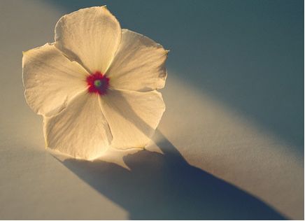 本科日语女生考研方向