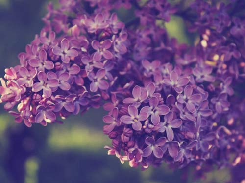 物理师范类考研方向