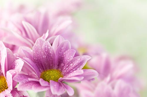 在职研究生的考试类别