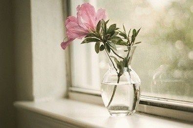 40天准备考研复试