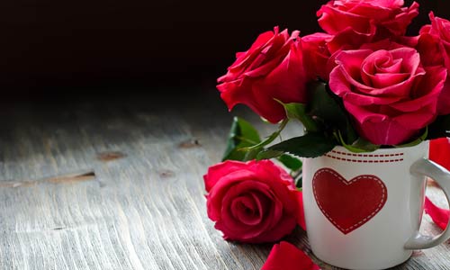 本科生物专业考研方向