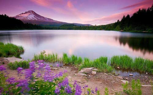 本科生研究生考试