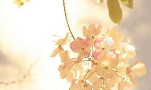 怎样备考考研英语