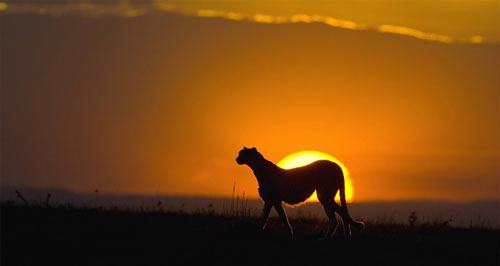 本科食品考研方向