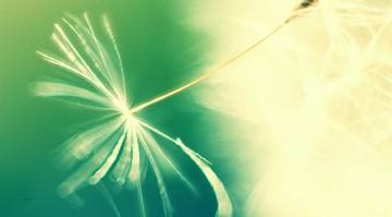 本科学的会计考研方向